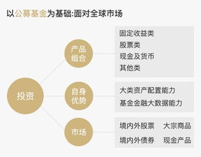 2018中國(guó)智能投顧產(chǎn)品測(cè)評(píng)報(bào)告 軟件開(kāi)發(fā)視角